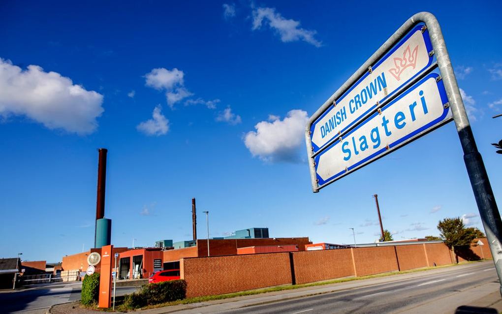 Een slachterij in ”varkensland”. beeld Ad de Jong