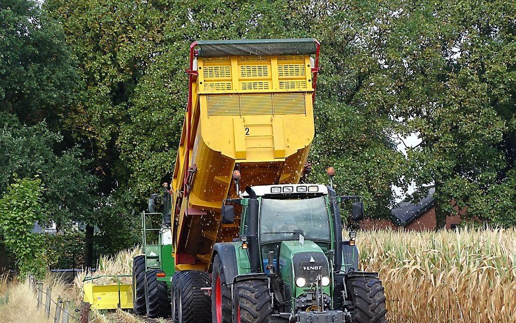 Loonbedrijf P. van den Hardenberg uit Elspeet was woensdag de eerste mais aan het hakselen in Uddel. Door de droogte groeit de mais niet meer en door regen en wind kan het plat waaien. Op de percelen wordt nu gras ingezaaid met de hoop in het in het najaa