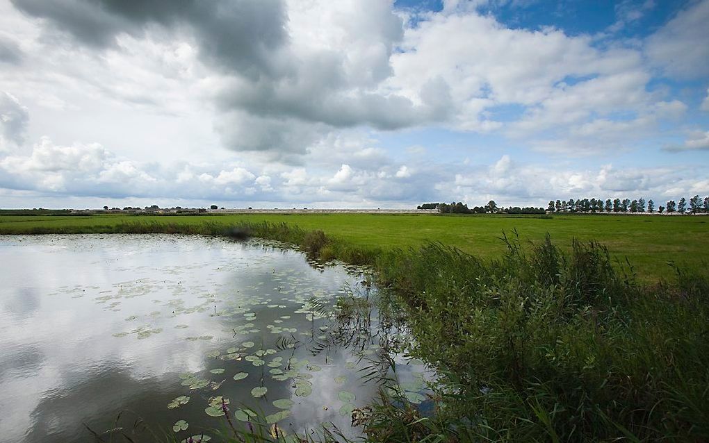 Het gebied bij Kampen waar mogelijk een nieuw dorp komt met de naam Reeve. beeld Ruben Smit