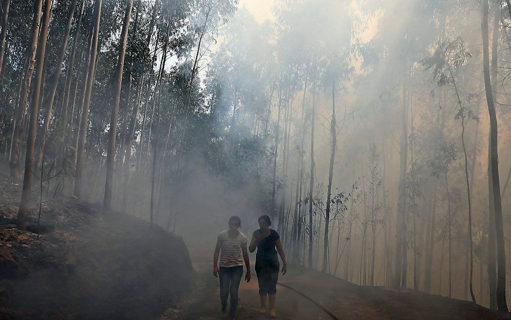 Águeda, Portugal. beeld EPA