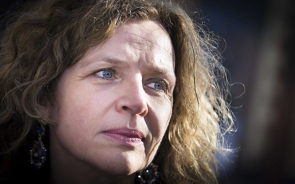 Minister Schippers (Volksgezondheid). beeld ANP, Jerry Lampen