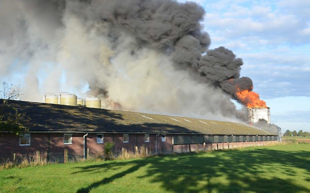 In een viertal kippenschuren in Waddinxveen woedt een grote brand. beeld ANP, AS Media