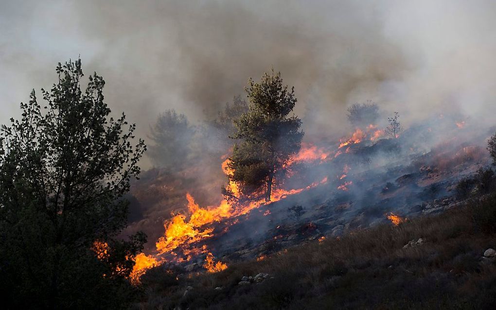 Natuurbrand in Israël woensdag in de buurt van het plaatsje Nataf bij Jeruzalem. Israëlische veiligheidsfunctionarissen sluiten niet uit dat de branden zijn aangestoken. beeld EPA, Abir Sultan