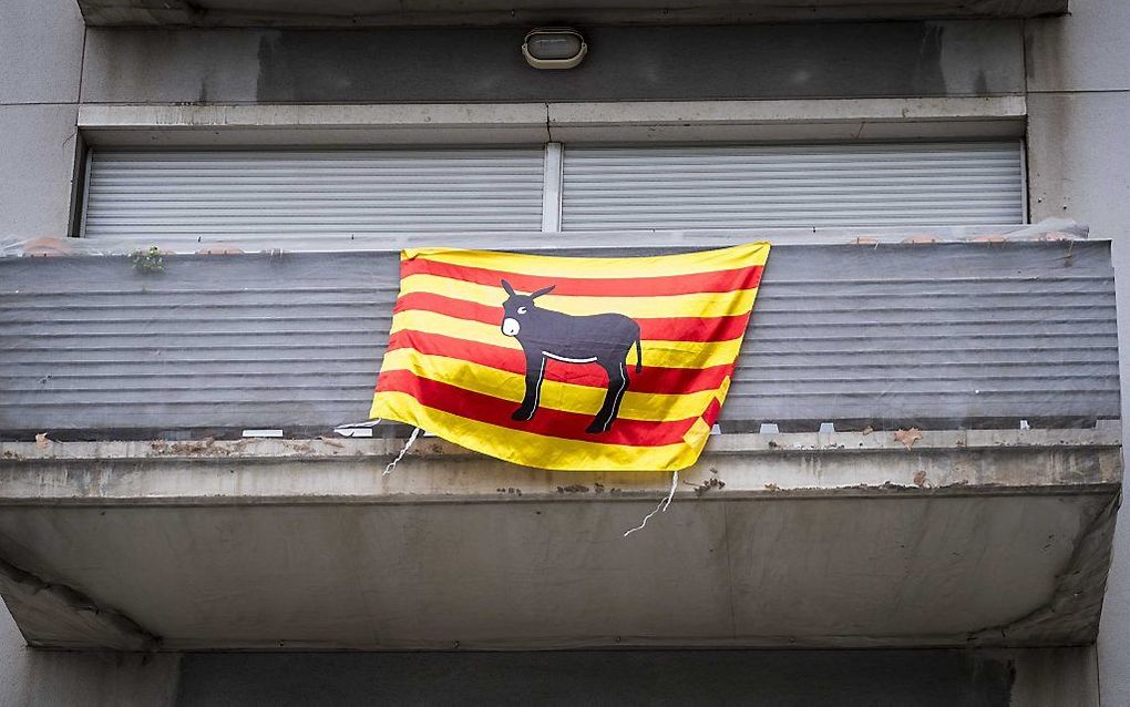 BARCELONA. De vlag van Catalonië hangt demonstratief aan een balkonhek, ergens in Barcelona. beeld ANP. David van Dama