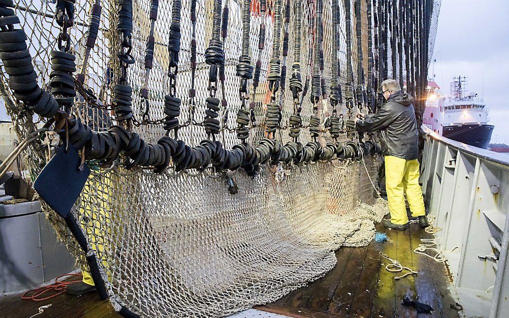 Een pulsnet, in dit geval op een Nederlandse viskotter. beeld ANP, Niels Wenstedt