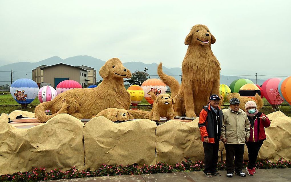 In het Taiwanese Sanhsing zetten honden van stro het Chinees Nieuwjaar luister bij. beeld EPA