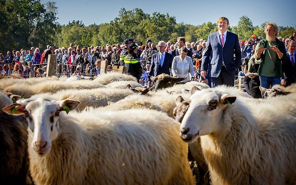 Koning Willem-Alexander bezoekt natuurgebied Bargerveen in Drenthe. beeld ANP