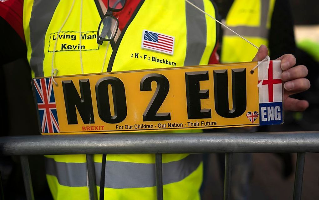 Een demonstrant bij het Britse parlement. beeld EPA, Will Oliver