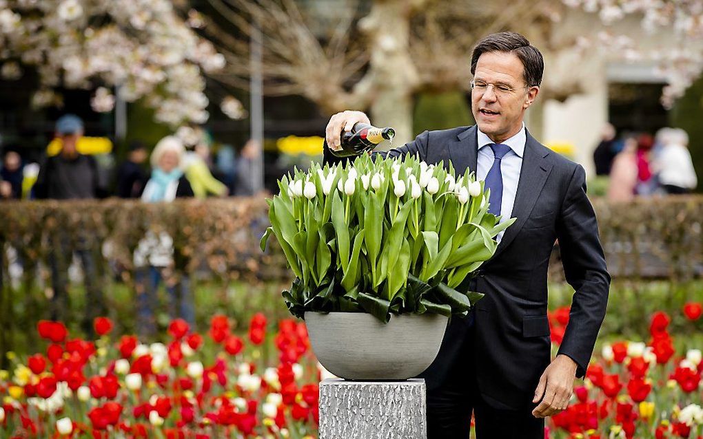 Mark Rutte doopt de nieuwe tulp in de Keukenhof in Lisse. beeld ANP