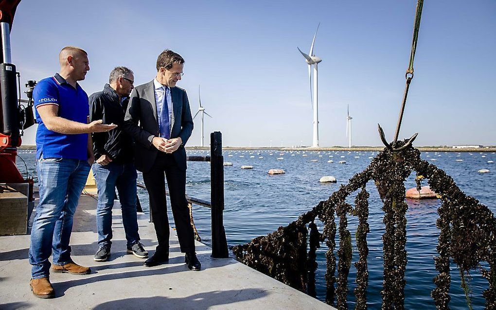 De premier krijgt een rondleiding bij viskwekerij Neeltje Jans. beeld ANP