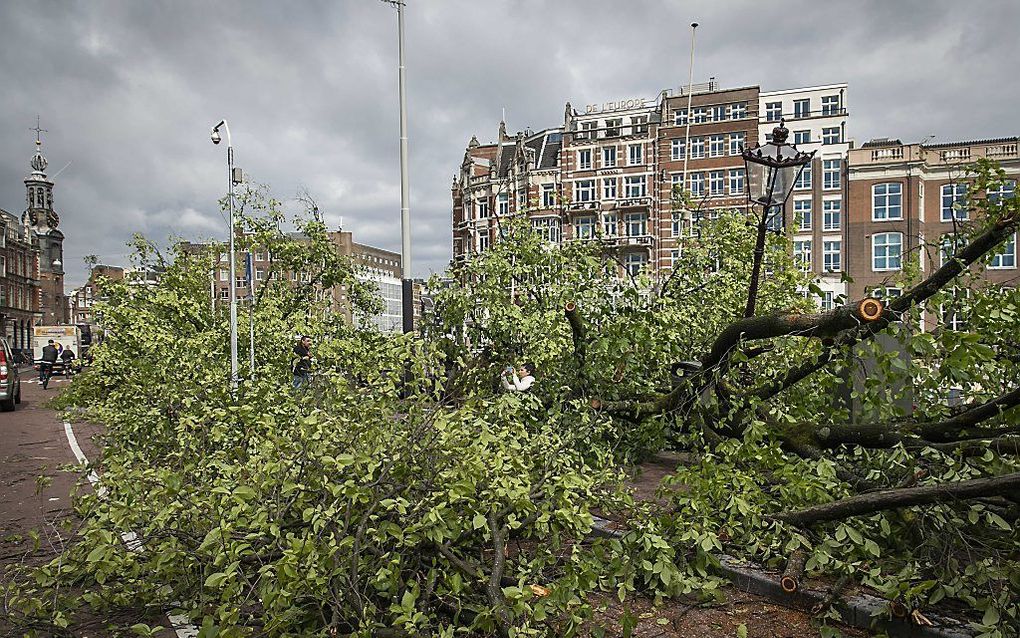 In het centrum van Amsterdam zijn in de nacht van woensdag op donderdag door het noodweer zo’n 150 bomen omgewaaid. beeld ANP