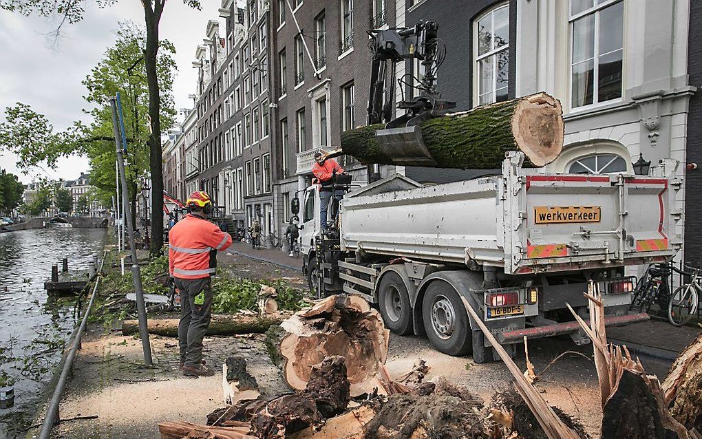 Omgevallen bomen aan de Herengracht in Amsterdam. beeld ANP