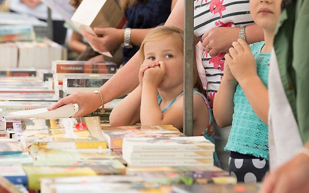 De traditionele Grote Veluwse Boekenmarkt op de Schapendrift in Elspeet. beeld André Dorst