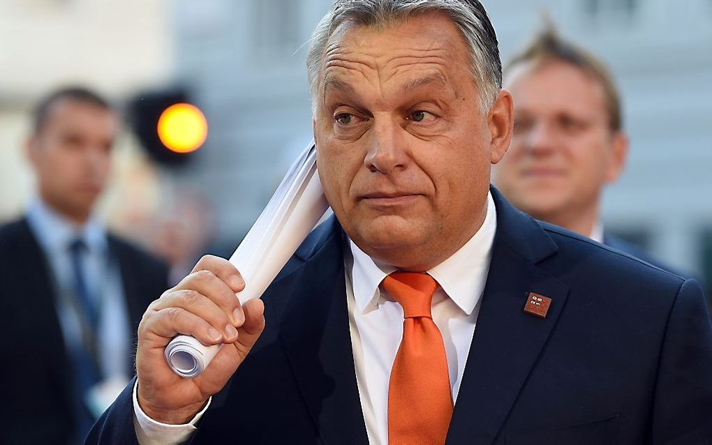 Premier Viktor Orban van Hongarije. beeld AFP, Christof Stache