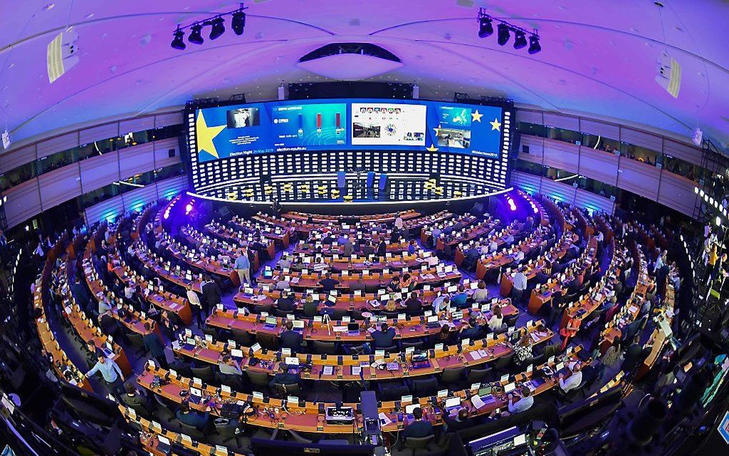 De grote middenpartijen verliezen de meerderheid in het Europees Parlement. beeld AFP,  Emmanuel DUNAND