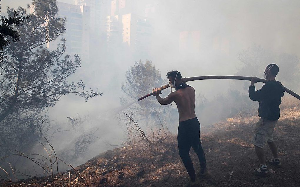 Vrijwilligers helpen bij het bestrijden van de bosbranden in Haifa. beeld AFP