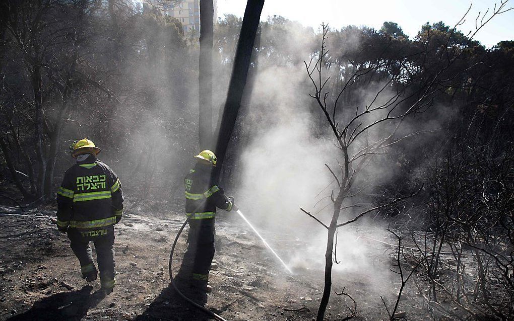 Bosbrand bij de Israëlische stad Haifa, november 2016. beeld  AFP, Menahem Kahana