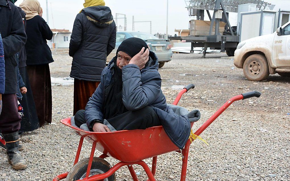 Deze Iraakse vrouw ontvluchtte de strijd rond de Noord-Iraakse stad Mosul. Zittend in een kruiwagen wacht ze voedselhulp af in vluchtelingenkamp al-Khazer, zo'n veertig kilometer ten oosten van Erbil. beeld AFP, Mahmud Saleh