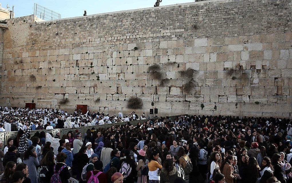 JERUZALEM. Het aantal ultrorthodoxe Joden dat een baan heeft stagneert. beeld AFP, Menachem Kahana