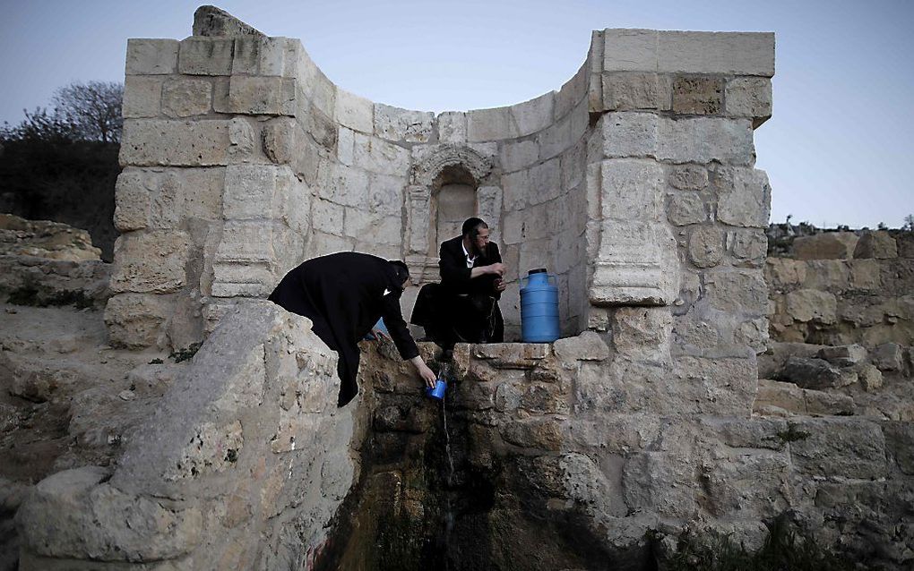 Jeruzalem, joden bij een bron. beeld AFP, Menhame Kahana