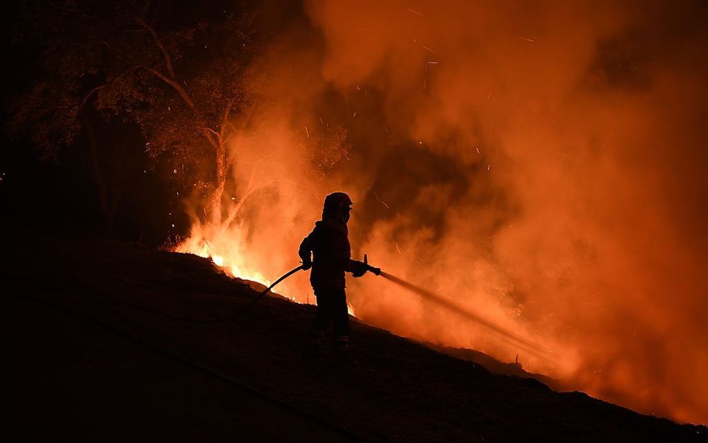 beeld AFP, Francisco Leong