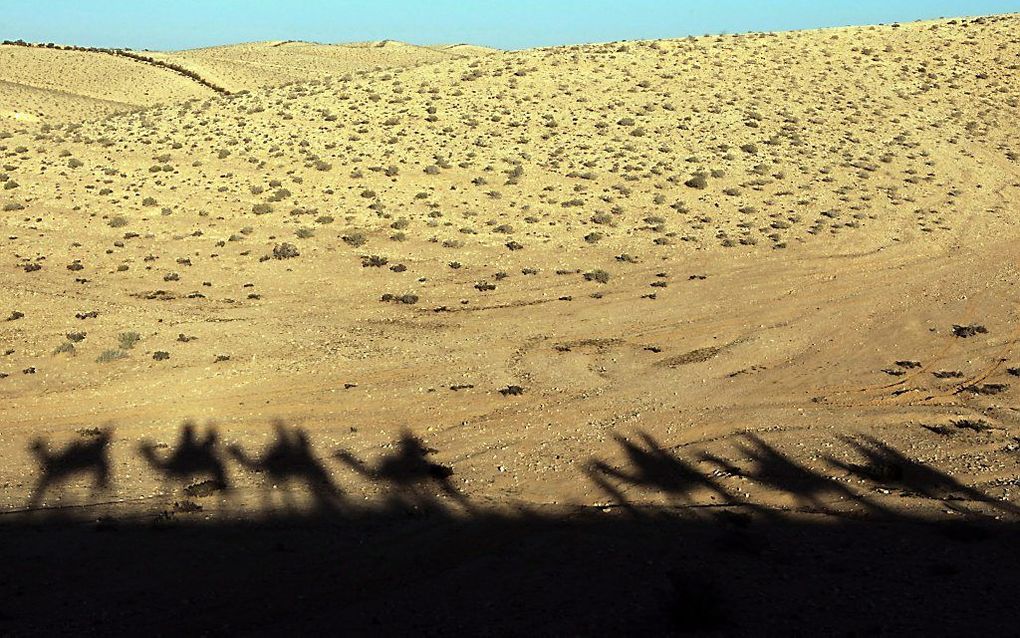 Negev. beeld EPA