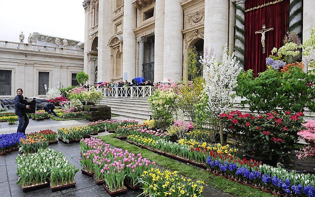 Italië kent Nederland onder meer van de bloemen. Foto: met Pasen verzorgt de Nederlandse sierteeltsector traditioneel de aankleding van het Sint Pietersplein in Rome. beeld ANP, Maurizio Brambatti