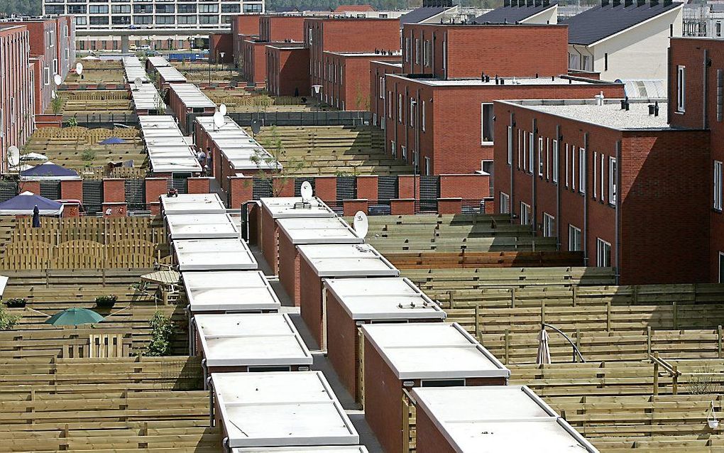 Achtertuinen van een nieuwbouwwijk in Zoetermeer. beeld ANP