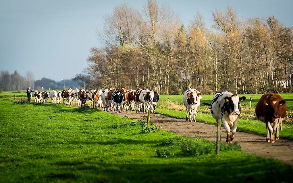 beeld ANP,  Valerie Kuypers