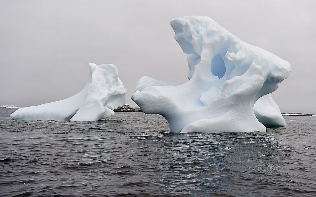 Een ijsberg bij Antarctica. beeld AFP, Eitan Abramovich