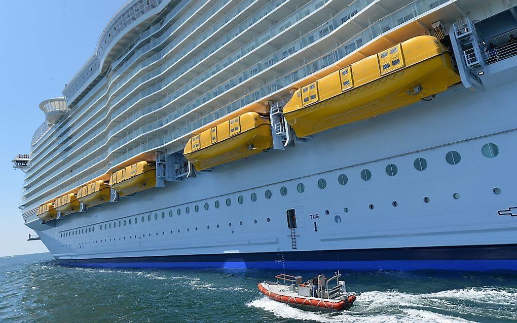 Harmony of the Seas. beeld AFP