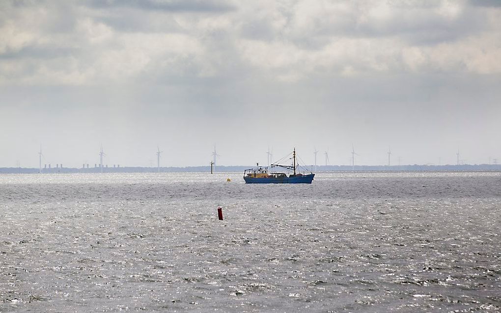 Oosterschelde. beeld ANP