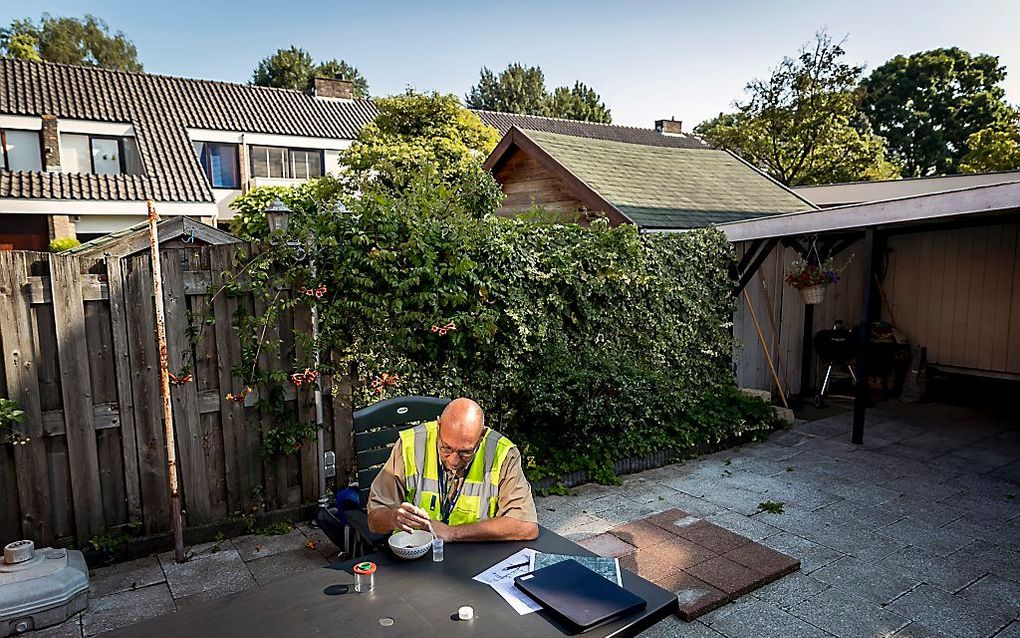 Inspecteurs van de Nederlandse Voedsel- en Warenautoriteit zijn op zoek in tuinen van bewoners naar de Aziatische tijgermug. beeld ANP