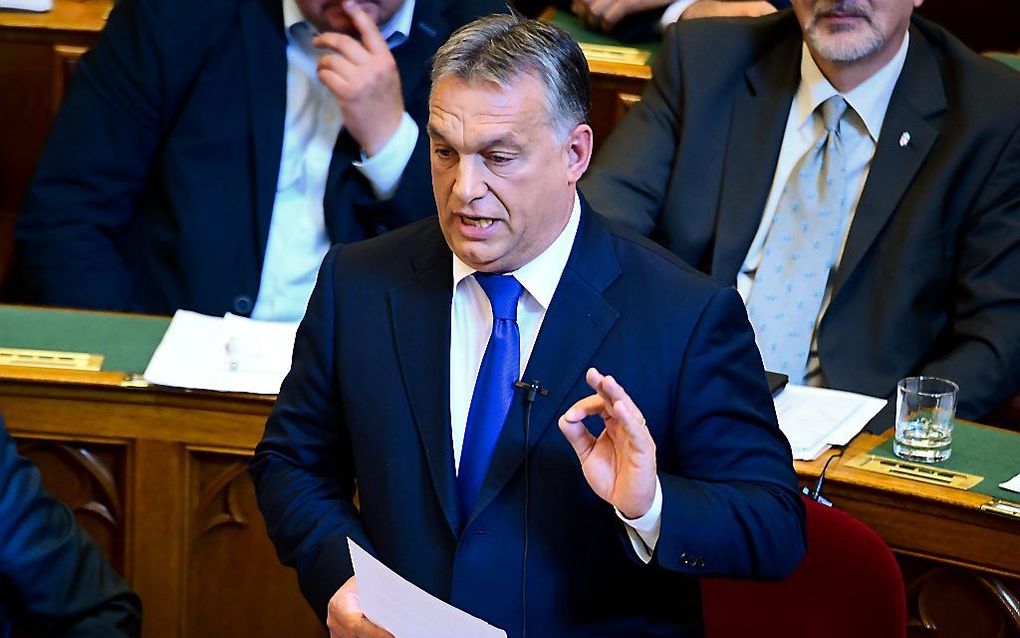 Premier Viktor Orban van Hongarije. beeld AFP