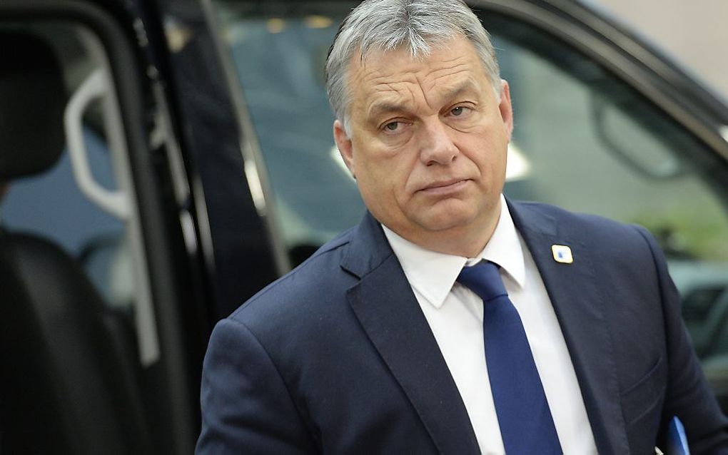 De Hongaarse premier Viktor Orban. beeld AFP