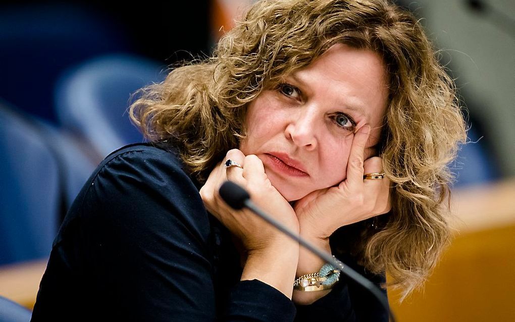 Minister Schippers. Beeld ANP