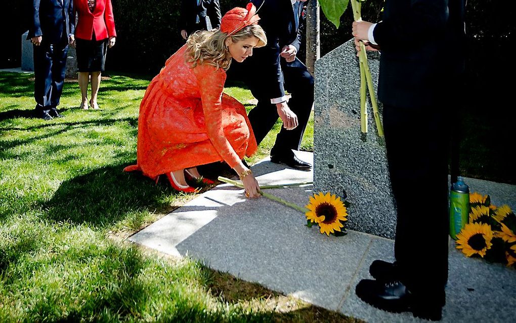 Koning Willem-Alexander en koningin Maxima leggen bloemen bij het MH17 in Australie. beeld ANP