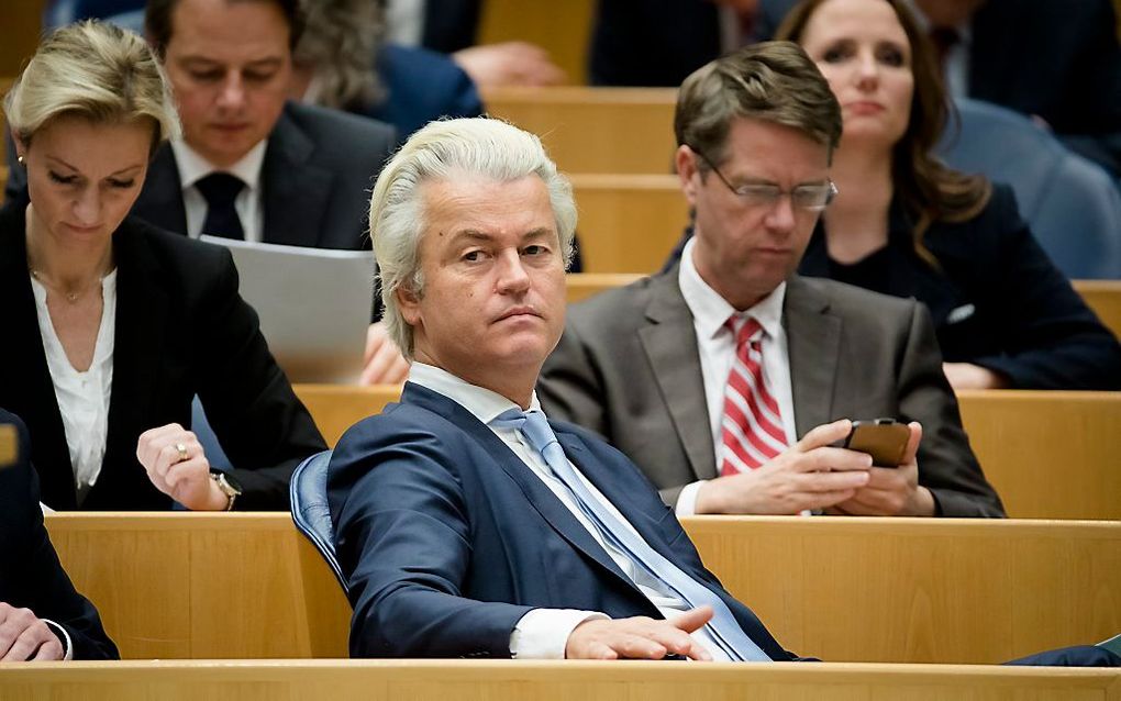 Wilders. beeld ANP