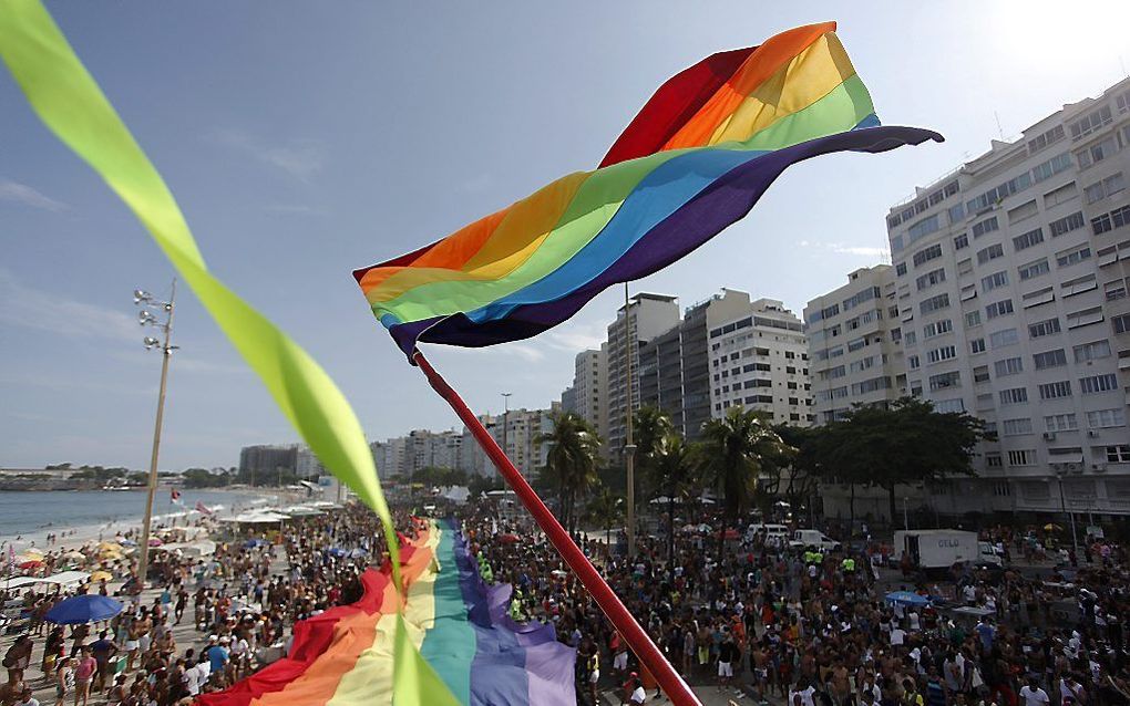 Gayparade in Rio de Janeiro, Brazilië. beeld EPA, Wagner Meyer