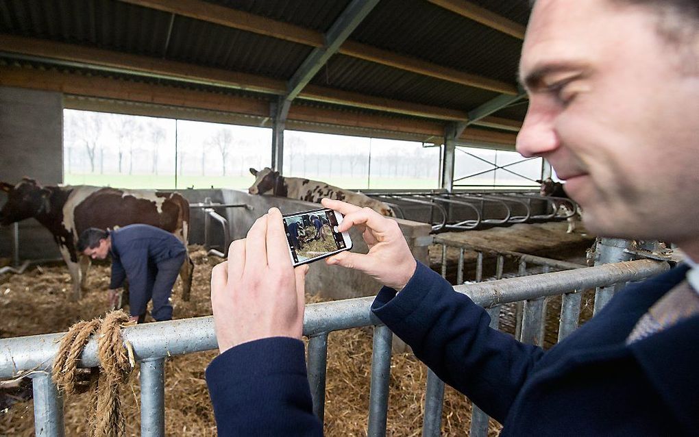 Staatssecretaris Van Dam bezoekt een boerderij. beeld ANP, Ferdy Damman