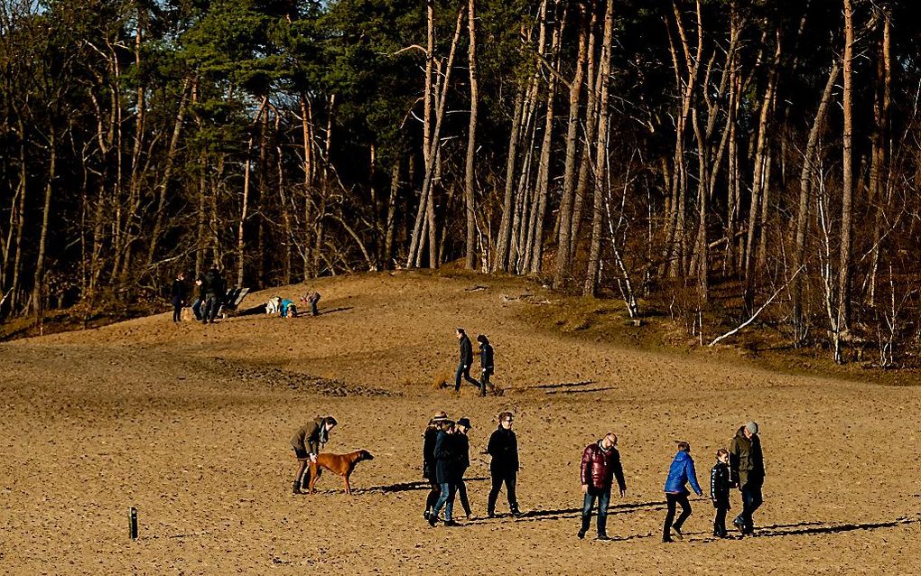 Nationaal Park De Loonse en Drunense Duinen op Tweede Kerstdag. beeld ANP