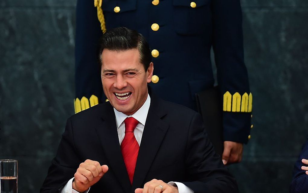 President Nieto van Mexico. beeld AFP