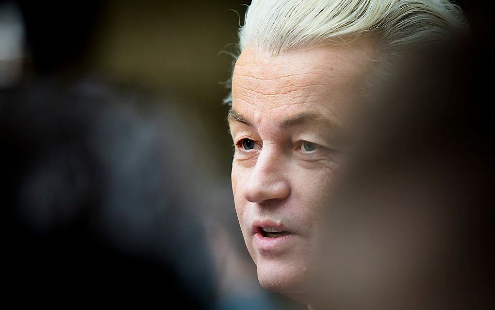 Wilders. beeld ANP