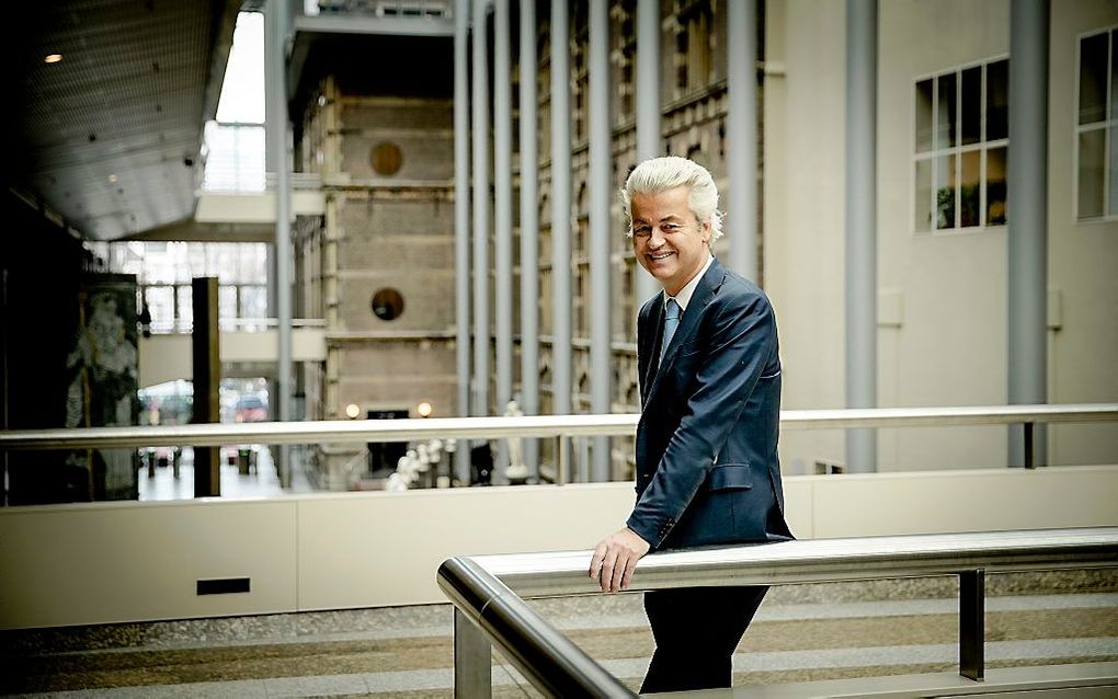 Wilders. beeld ANP