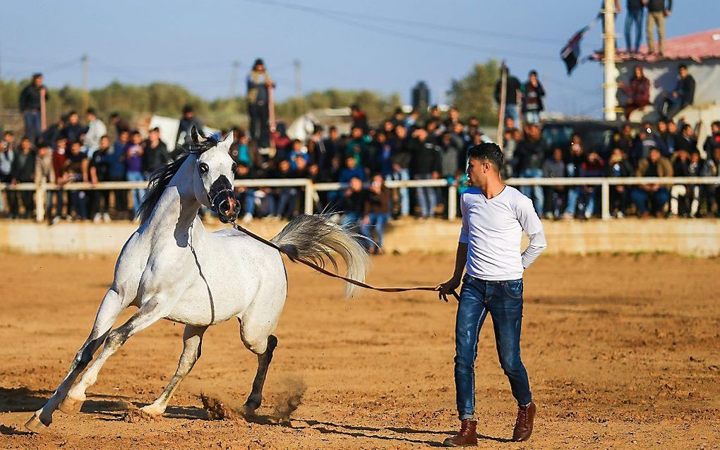 Gaza. beeld AFP