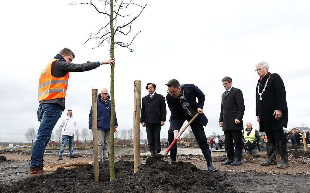 Minister Bert Koenders van Buitenlandse Zaken en de ambassadeur van Australie Brett Mason planten bomen voor het herinneringsbos, een onderdeel van het Nationaal Monument MH17. beeld ANP