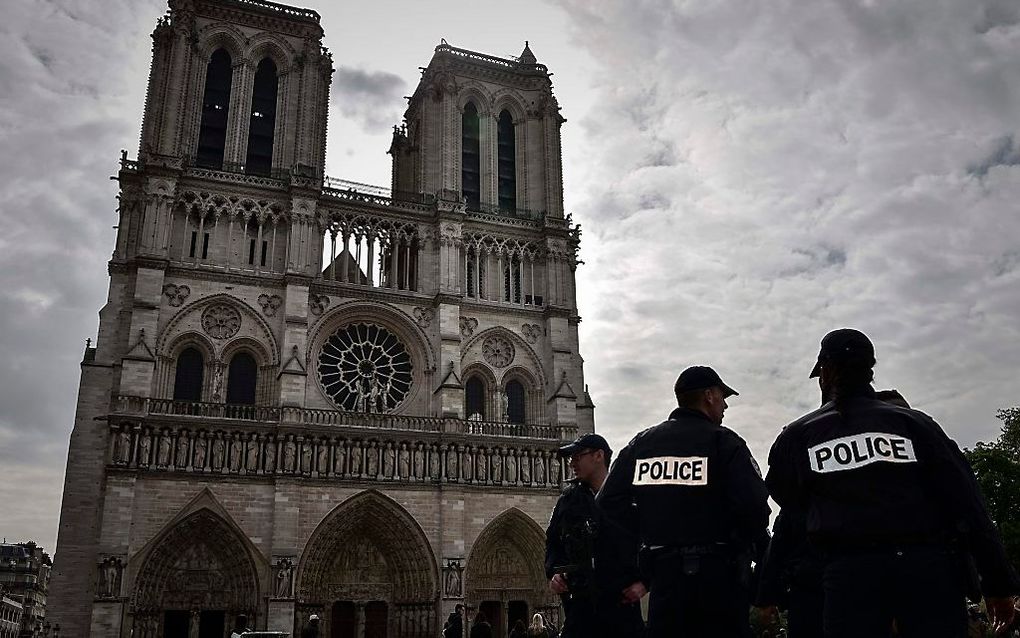 De Notre-Dame in Parijs. beeld AFP