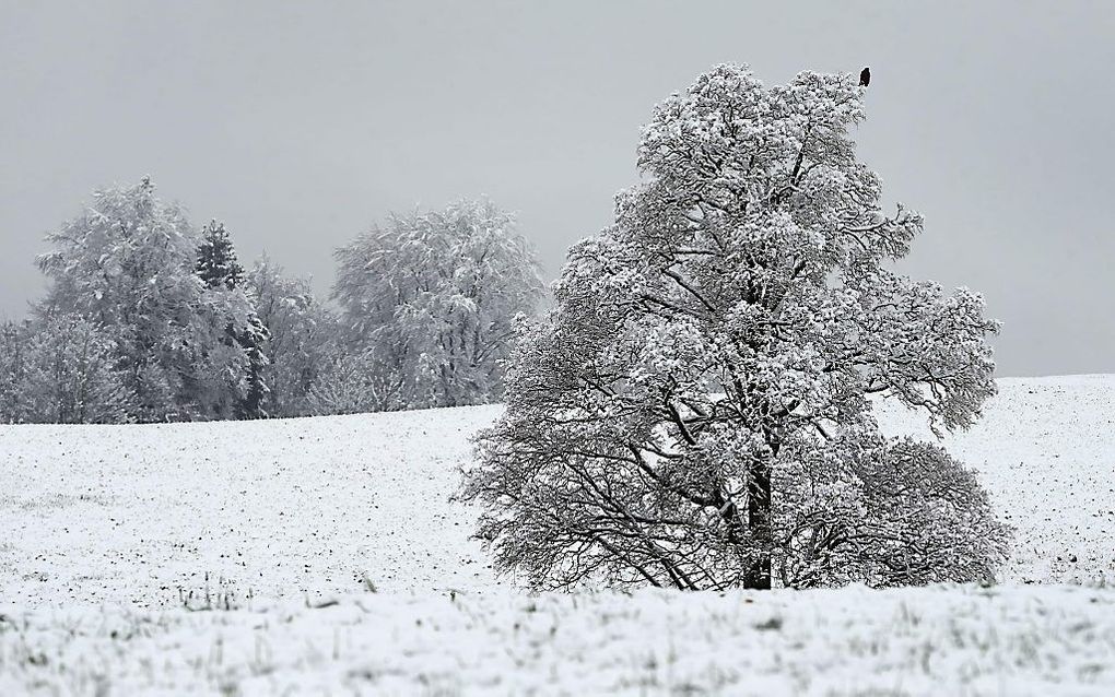 Sneeuw in Rettenbach (Zuid-Duitsland), donderdag 27 april. beeld AFP