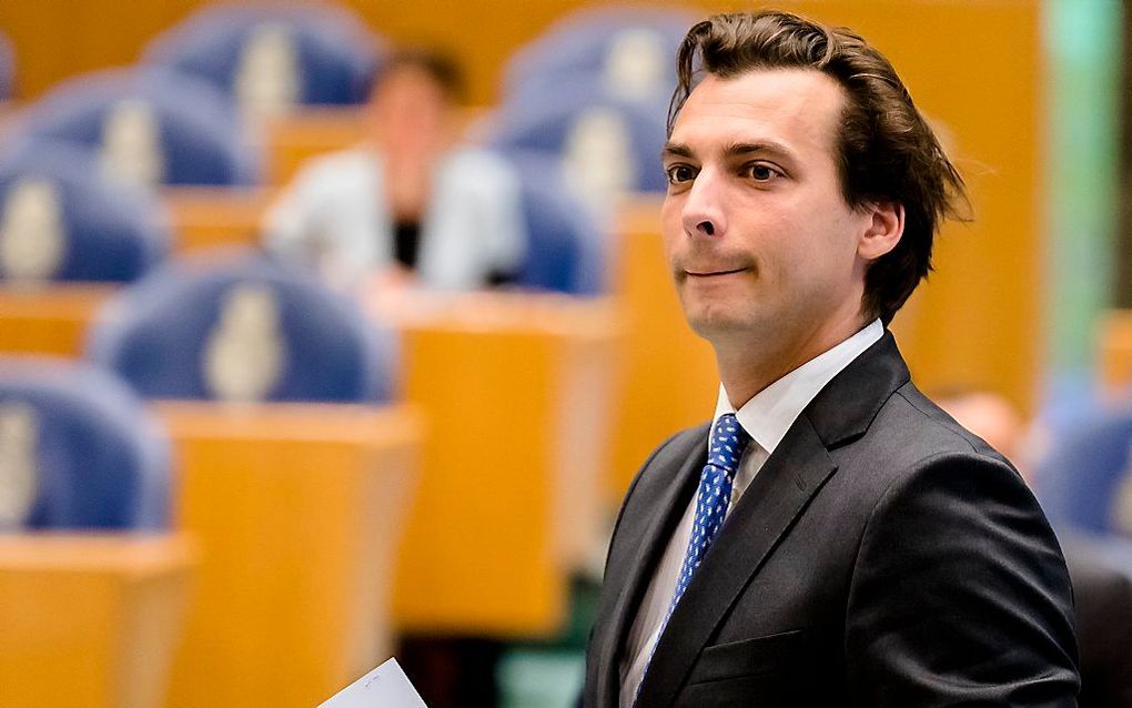 Baudet. beeld ANP