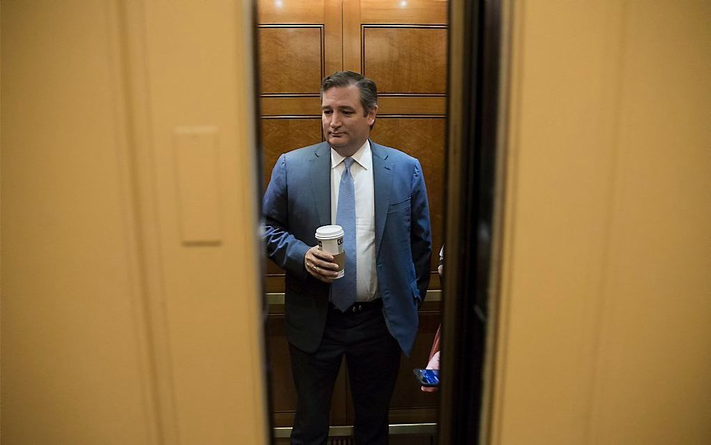 Ted Cruz. beeld EPA